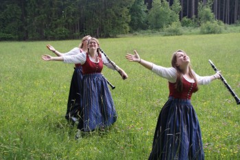 Projektfoto Herzogenburg (23).JPG